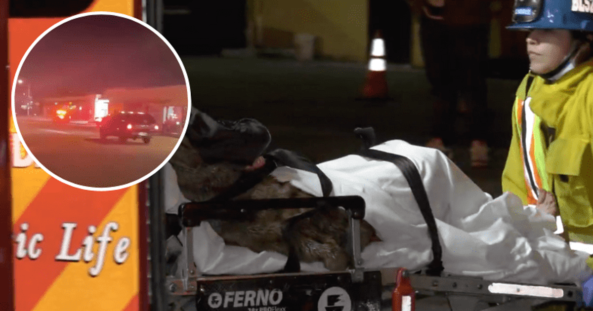Monterey Park mass shooting: Chaos as multiple fatalities reported during Lunar New Year celebrations