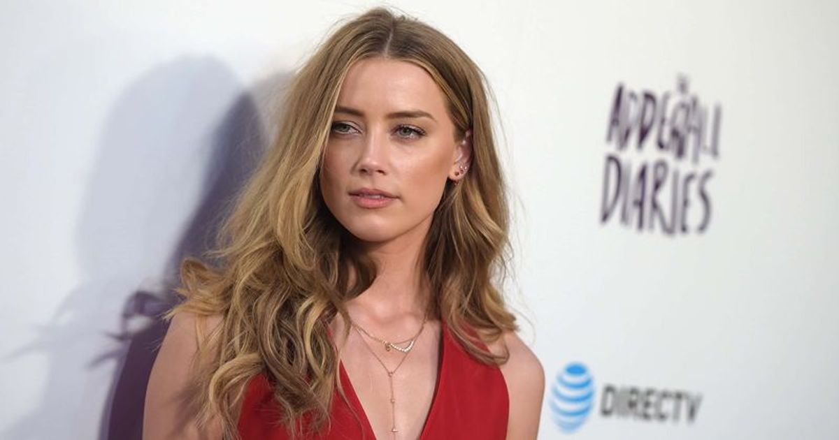2022 Latest Amber Heard Donation Daily Mail amber heard dog hayda