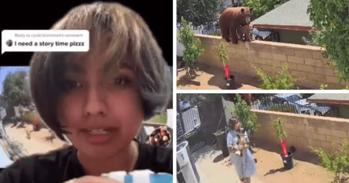 Who is Hailey Morinico? California teen pushes bear off her backyard