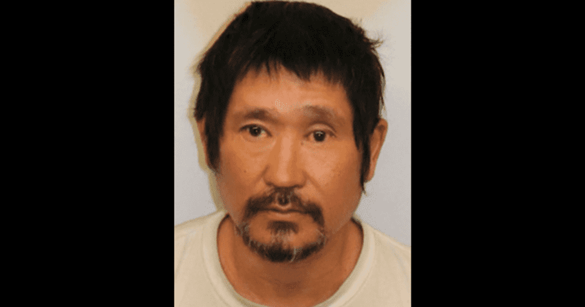 New York reform laws mocked after Fox Christmas tree arson suspect