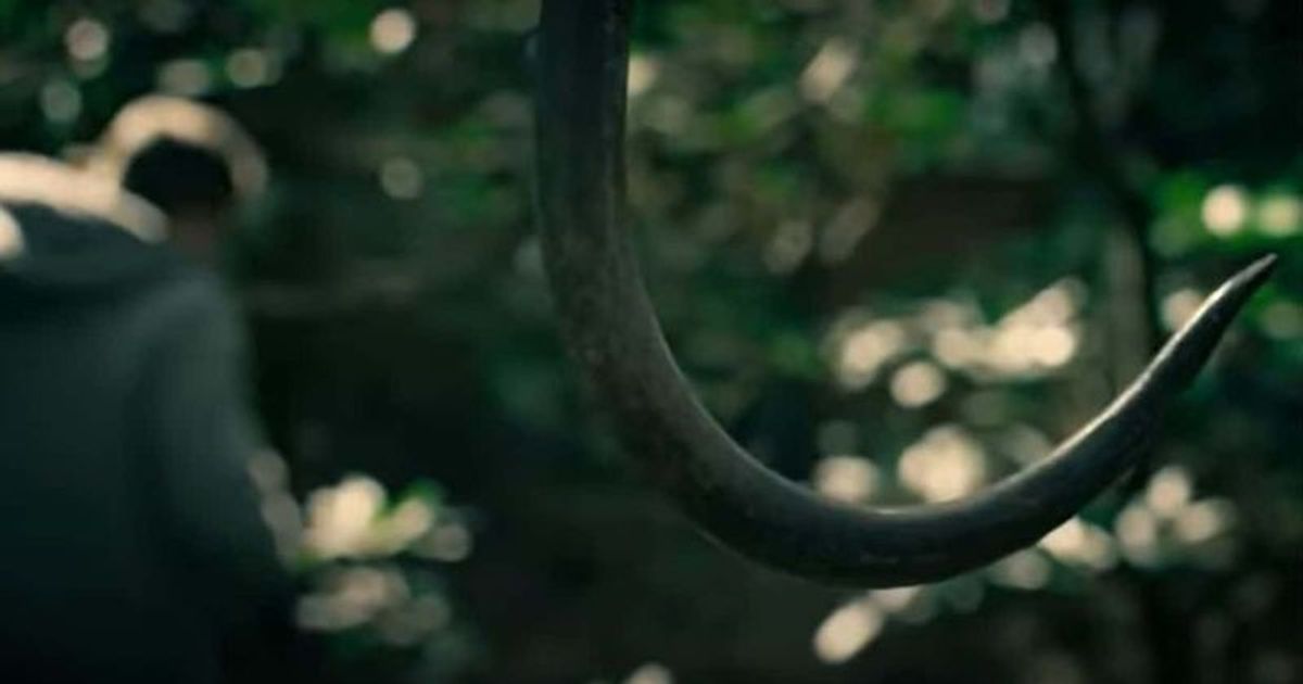 'Catching Killers' Season 2 What makes a person a serial killer? MEAWW