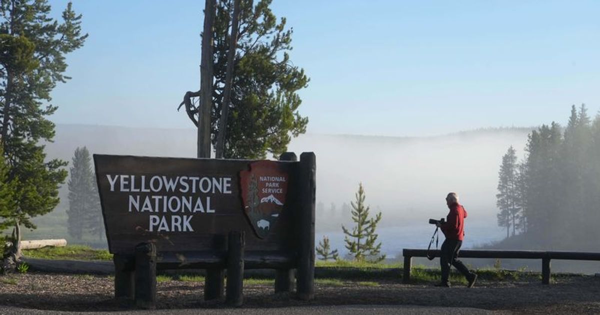 Yellowstone Park employee finds HUMAN FOOT along with shoe floating in