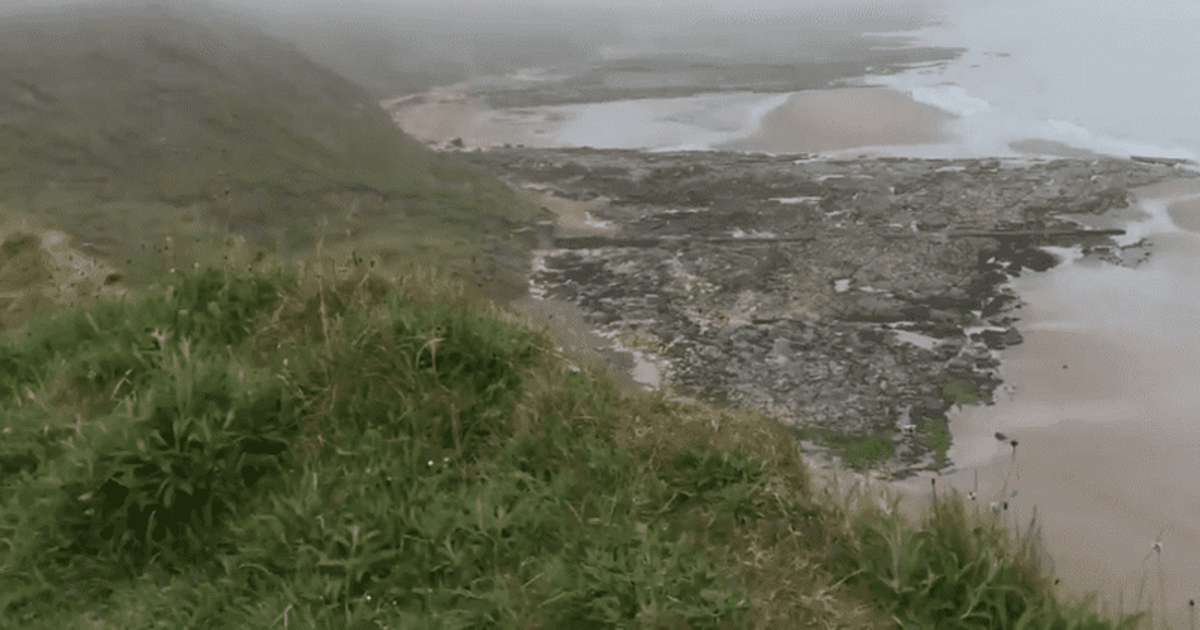 Ramona Gowens Woman dies day before birthday after ‘gut sinking’ fall