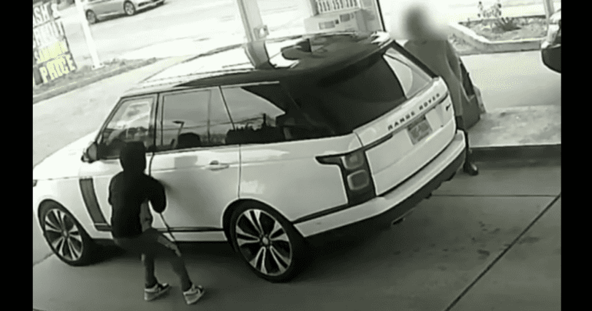 Pet dog left horribly injured as it was dragged behind Range Rover ...