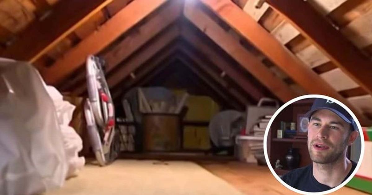 Man gets shock of his life while probing strange noise from attic MEAWW