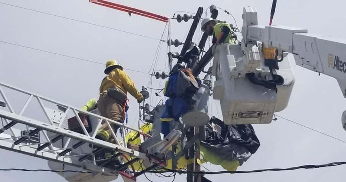 Skydiver survives after getting tangled in live power lines MEAWW
