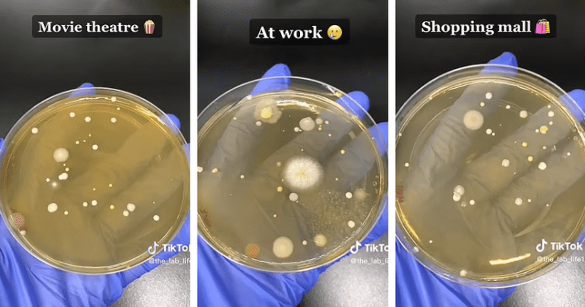 Here's why using hand dryers in washrooms can make you sick MEAWW