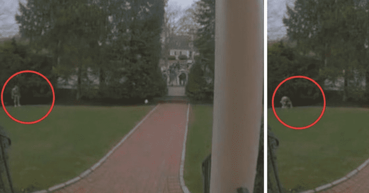 Boston marathon runner caught pooping on stranger's front lawn MEAWW