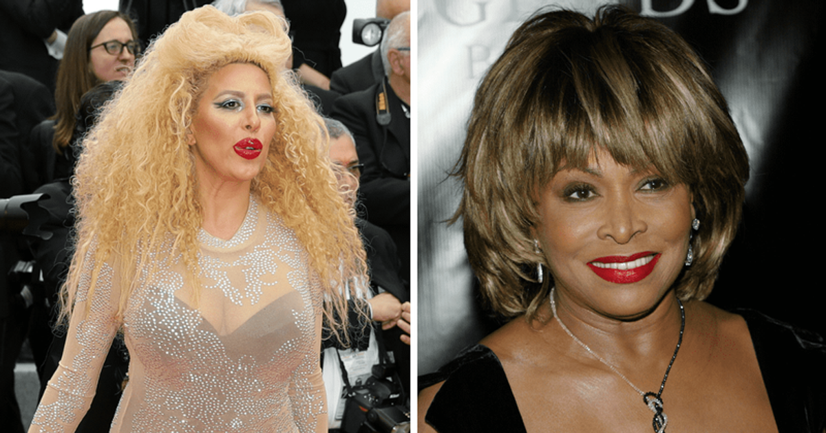 Tina Turner’s daughterinlaw Afida shares heartbreaking photo of legend with late sons Craig