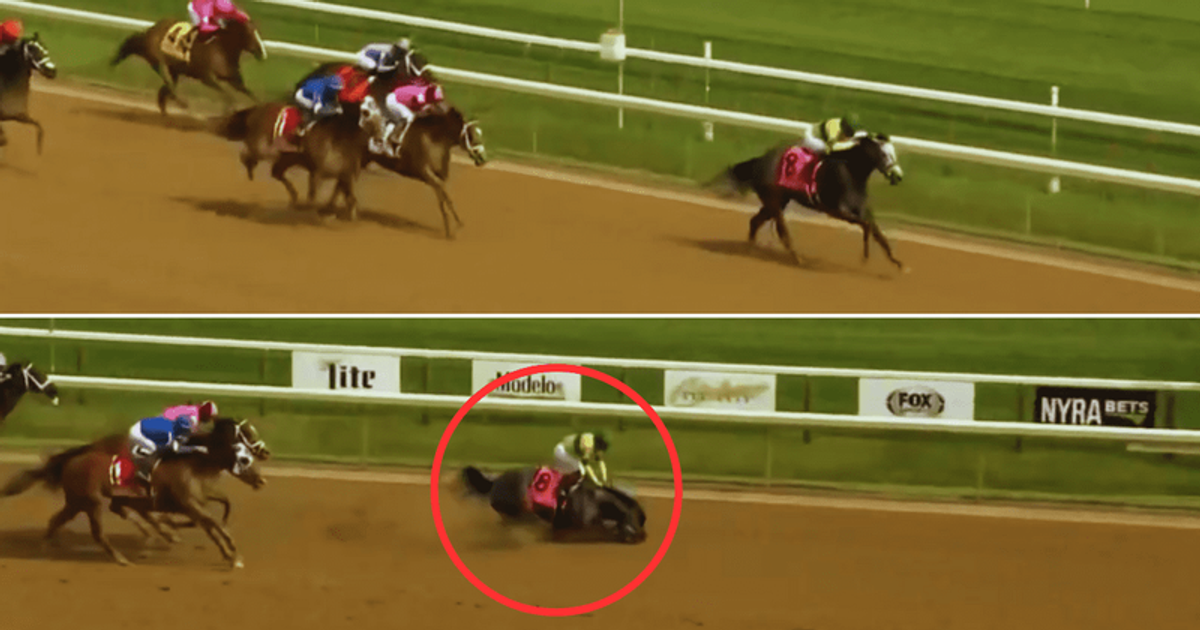 Who owned Maple Leaf Mel? Beloved horse euthanized after sustaining