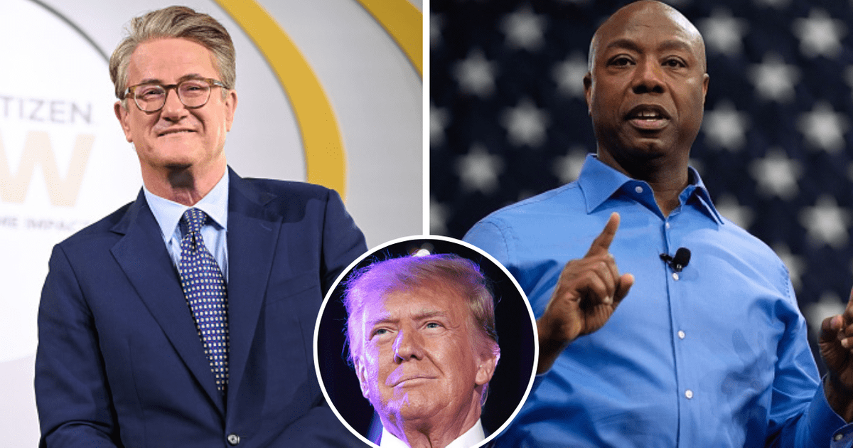 'Morning Joe' viewers slam Sen Tim Scott after Joe Scarborough takes a