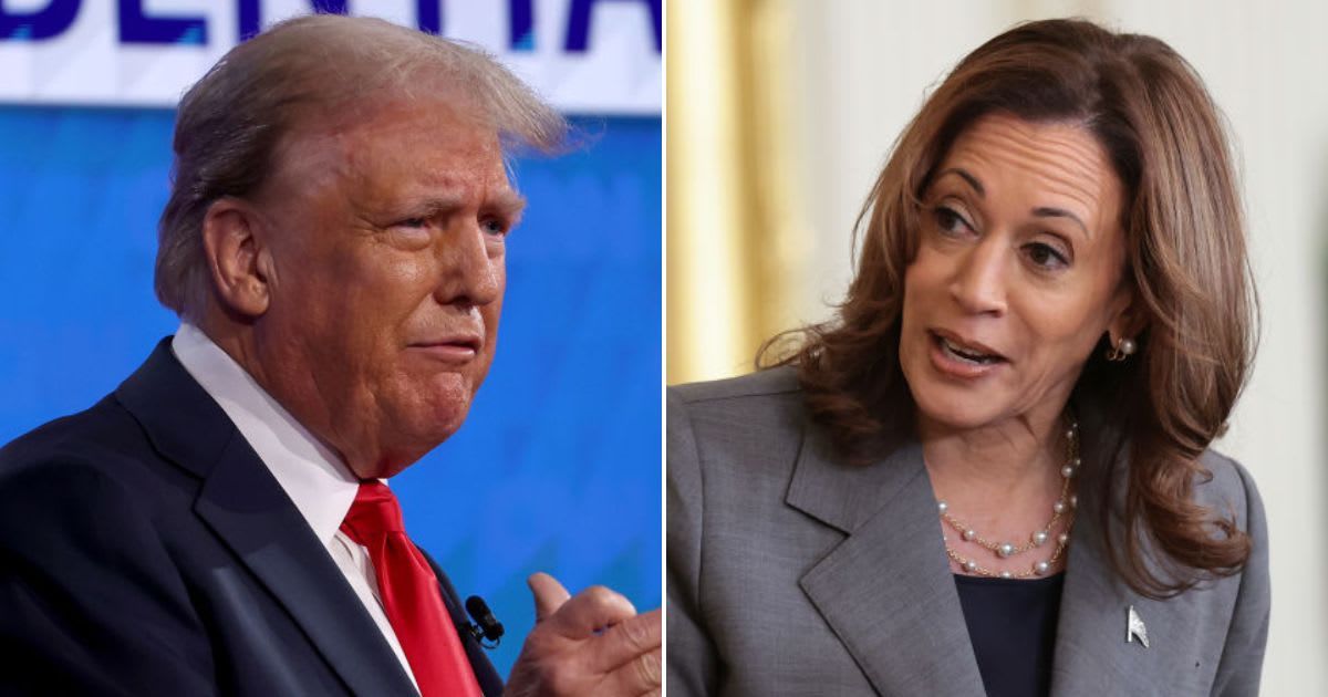 Donald Trump Bizarrely Suggests Migrants Have a Phone App to Connect With Kamala Harris