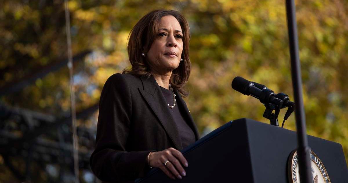 Trump Supporter Threatens Kamala Harris, Says She's 'Gonna Meet Her